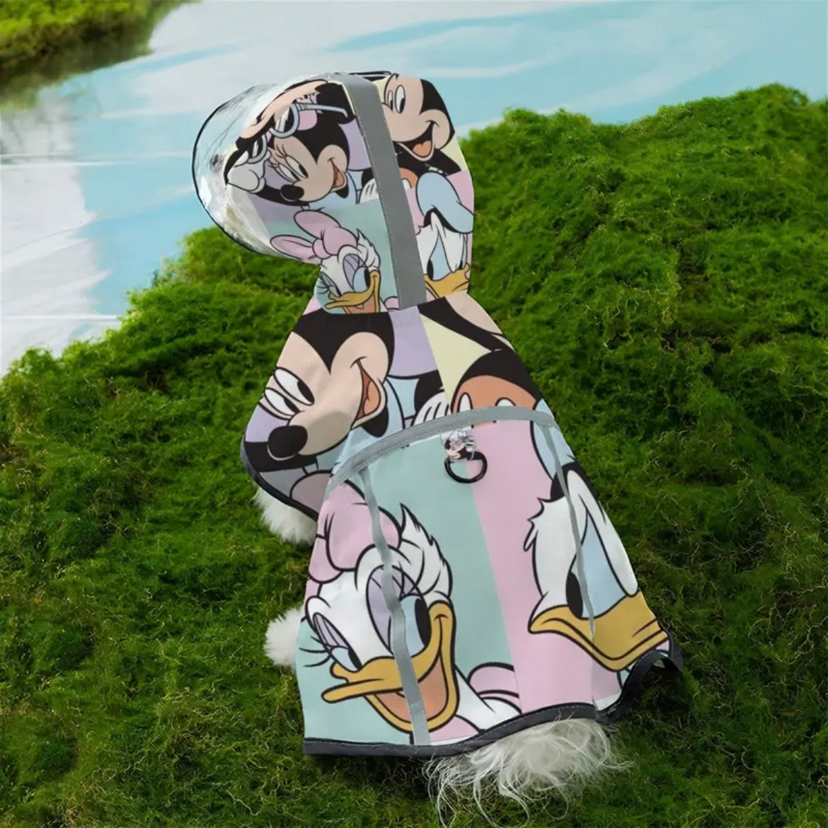Дъждобран DISNEY 02