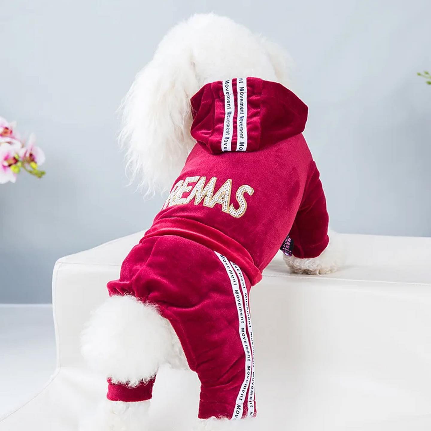 Гащеризон REMAS RED