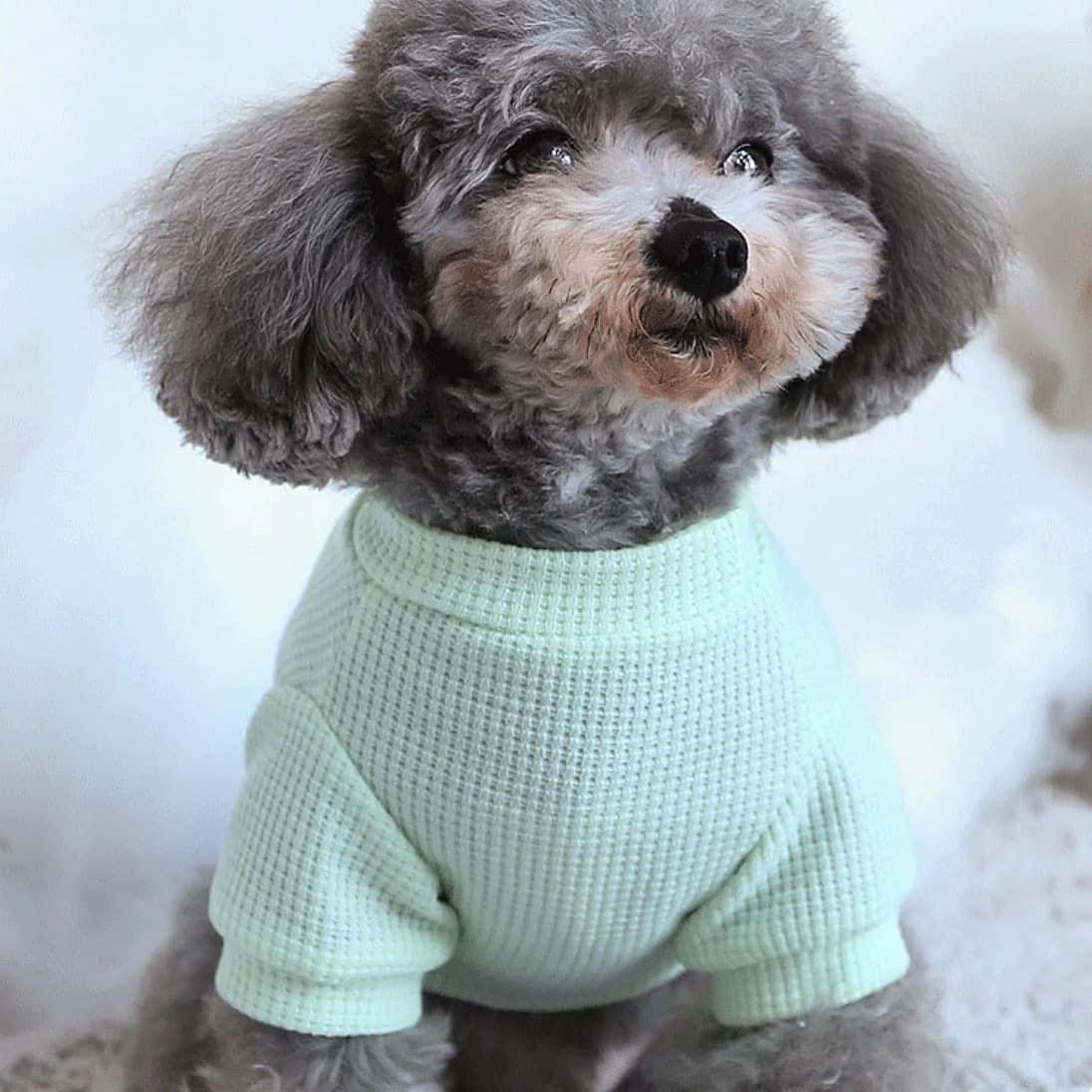 Блуза MINT