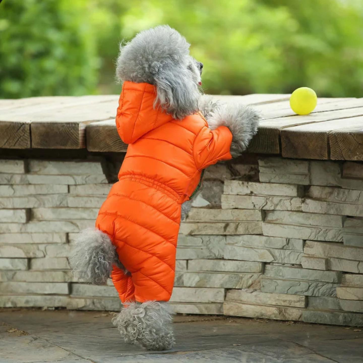 Зимен гащеризон за домашни любимци ORANGE - LIMITED EDITION