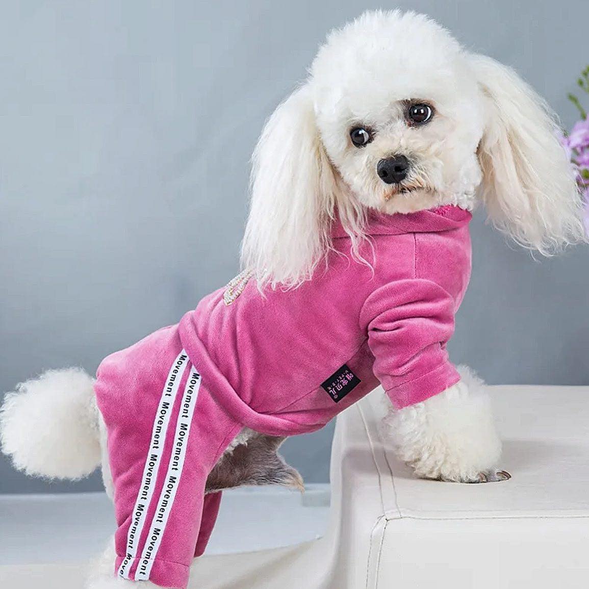 Гащеризон REMAS PINK
