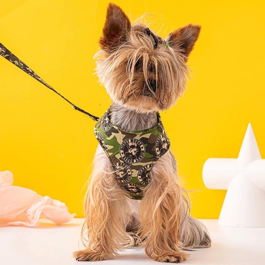 Нагръдник с повод CAMOUFLAGE