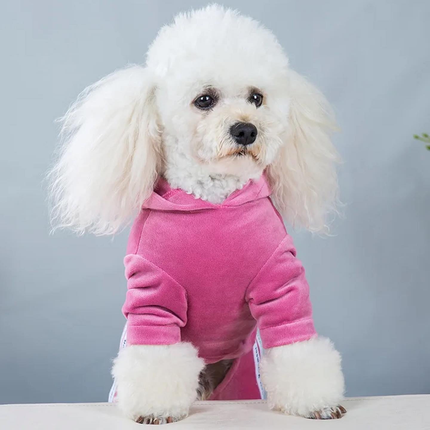 Гащеризон REMAS PINK