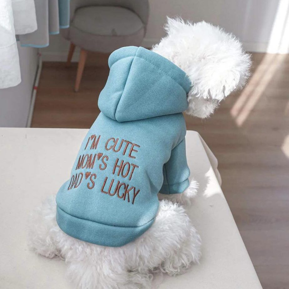 Суичър I'M CUTE