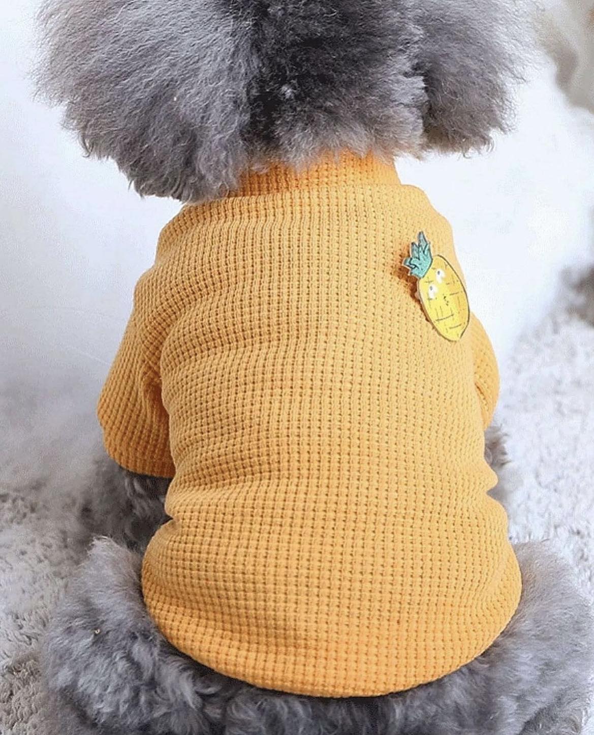 Блуза CARROT