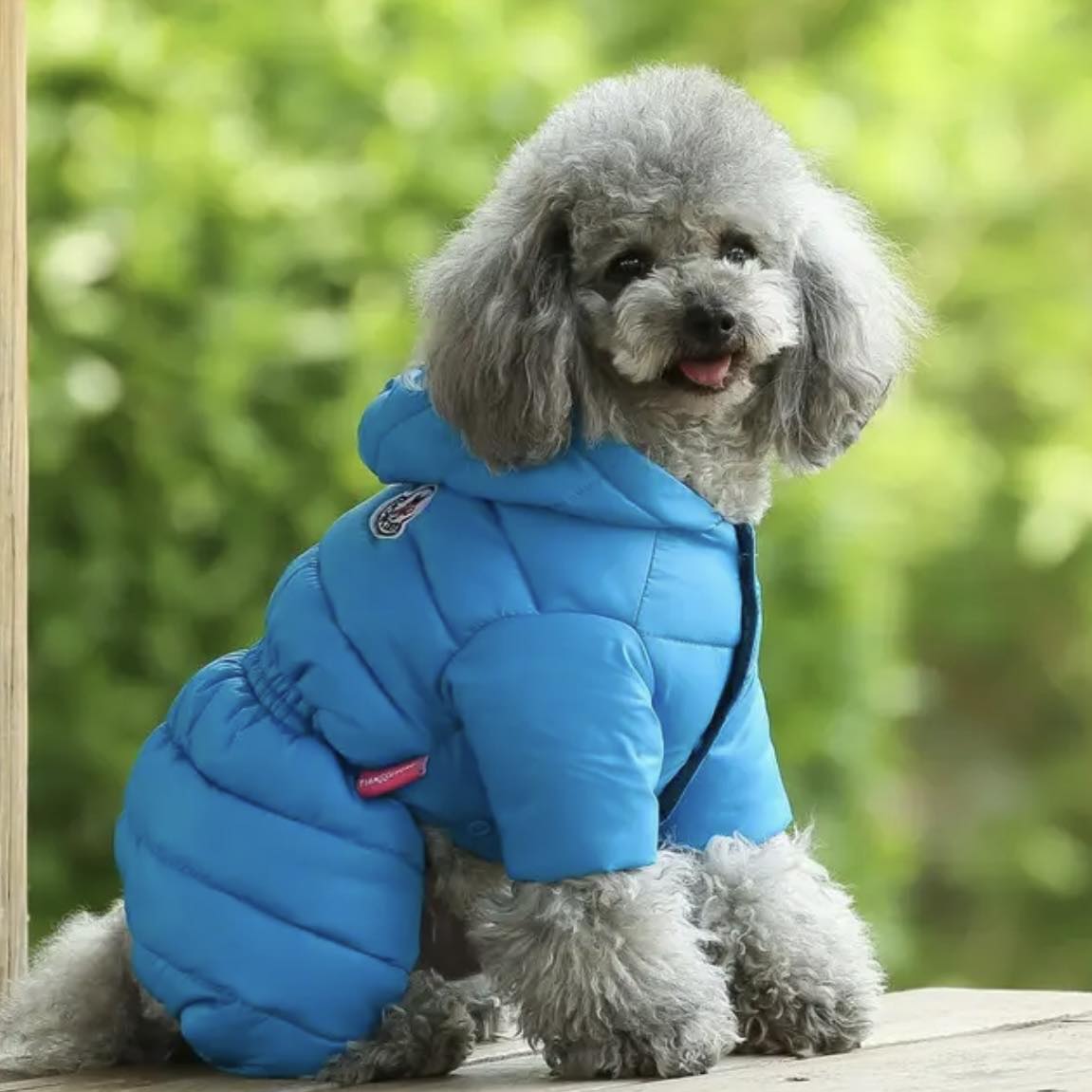 Зимен гащеризон за домашни любимци BLUE - LIMITED EDITION