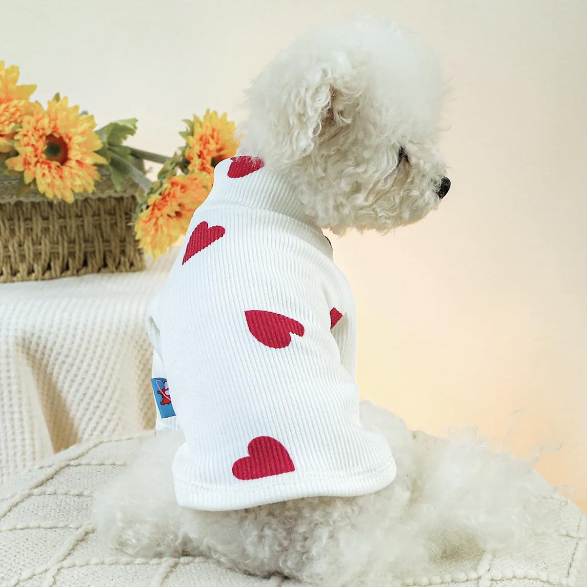 Блуза HEART WHITE