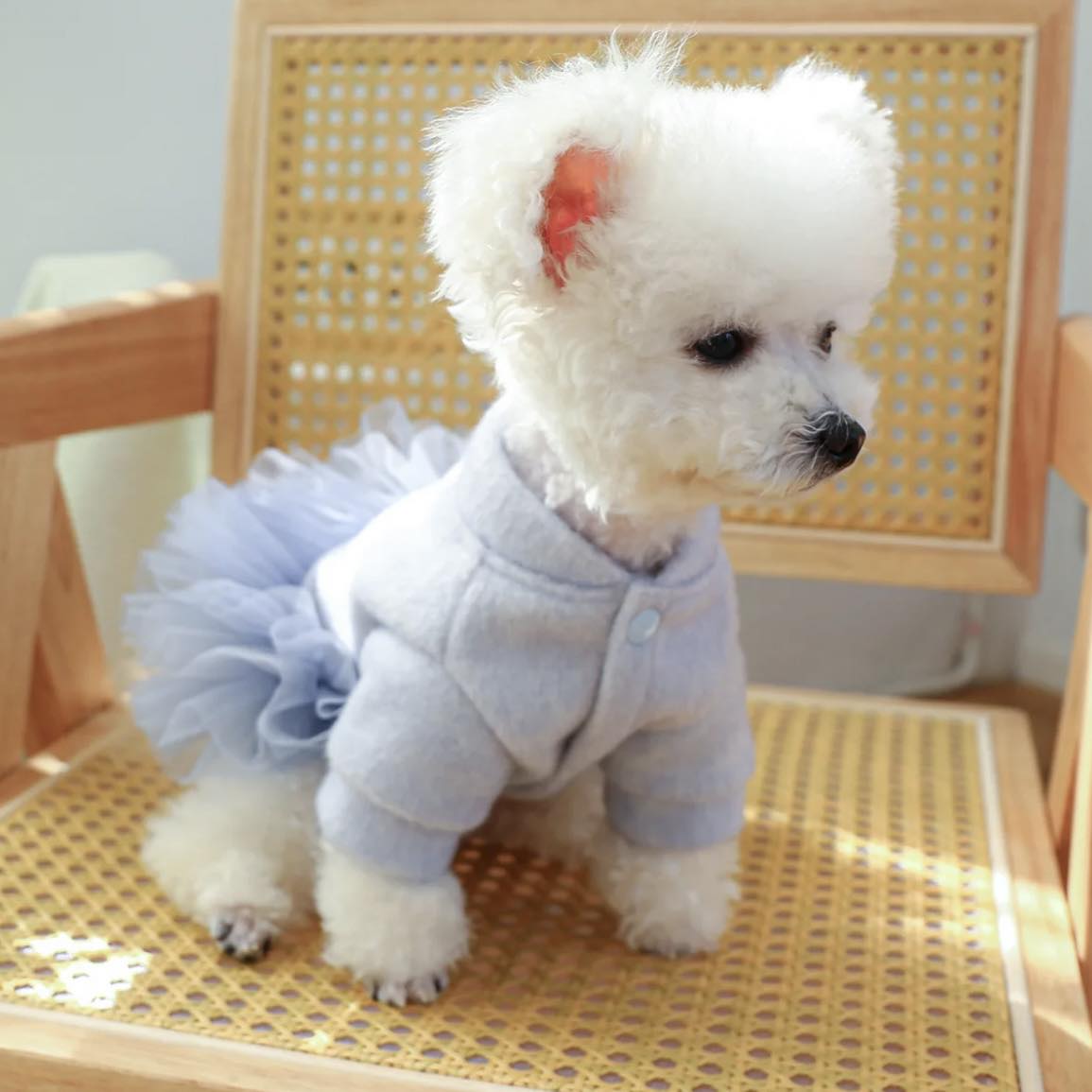 Рокля PRINCESS BLUE
