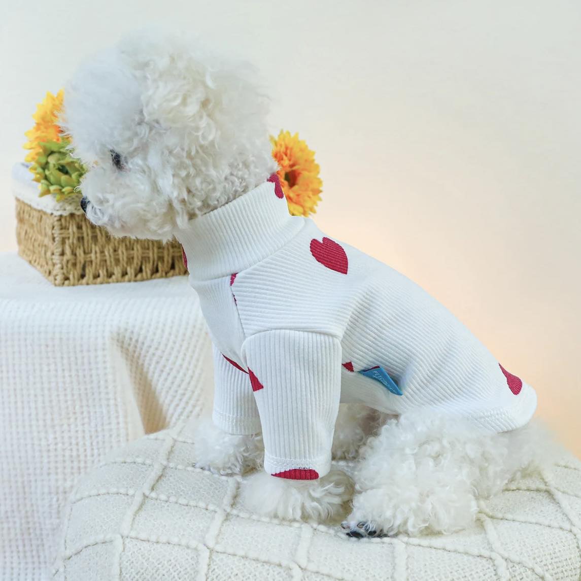Блуза HEART WHITE