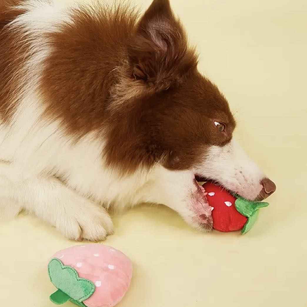 Играчка STRAWBERRY