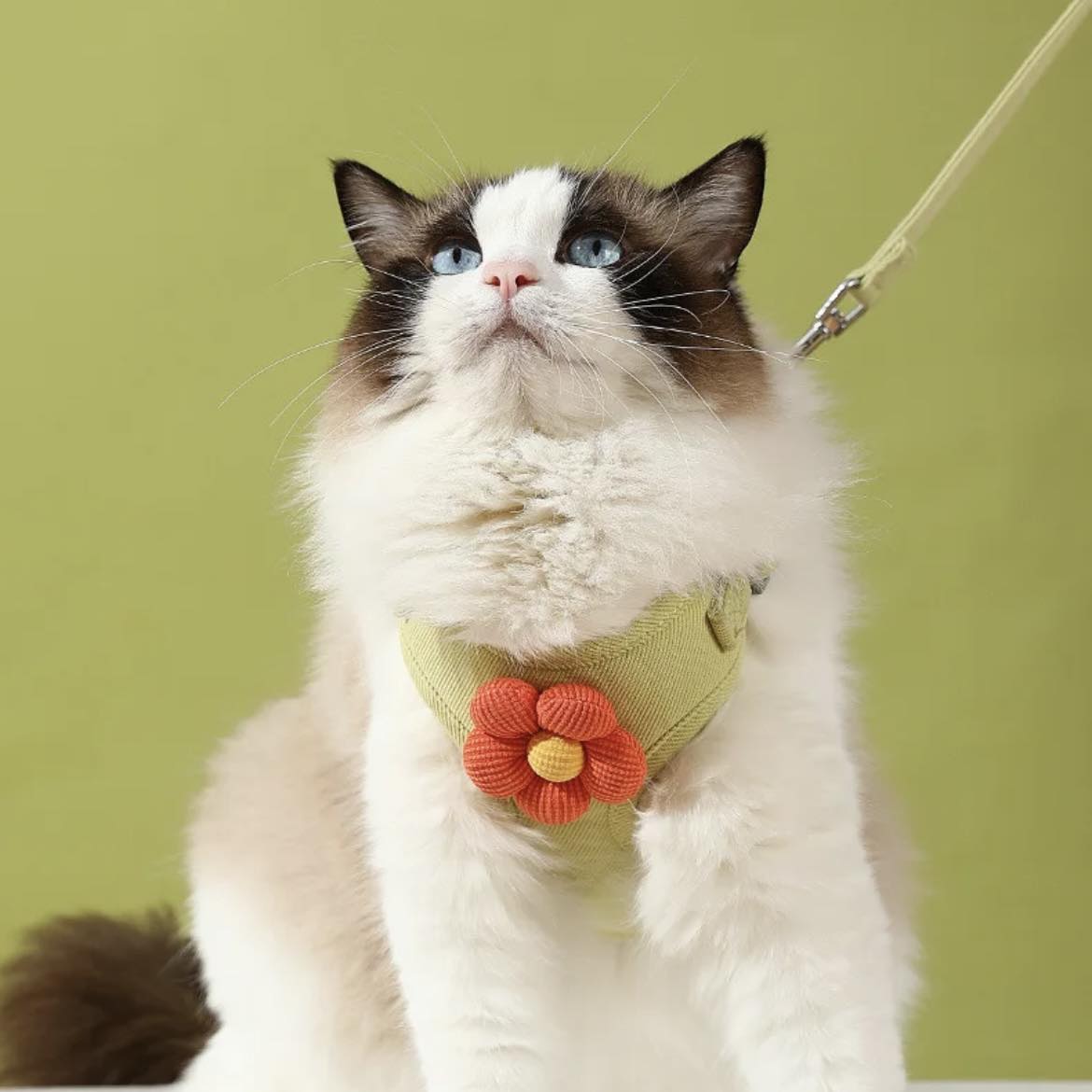 Нагръдник с повод FLOWER