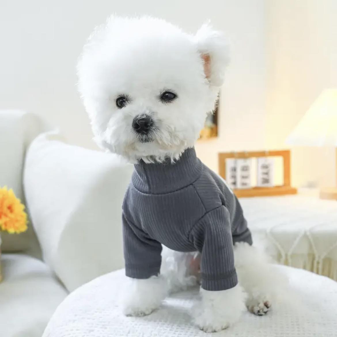 Блуза BEAR GREY