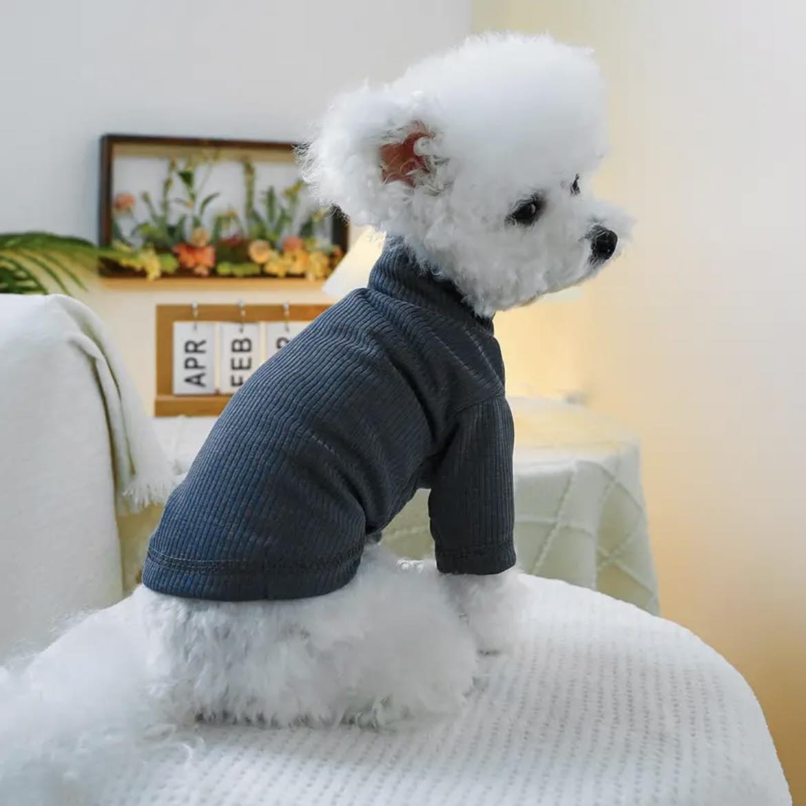 Блуза BABY