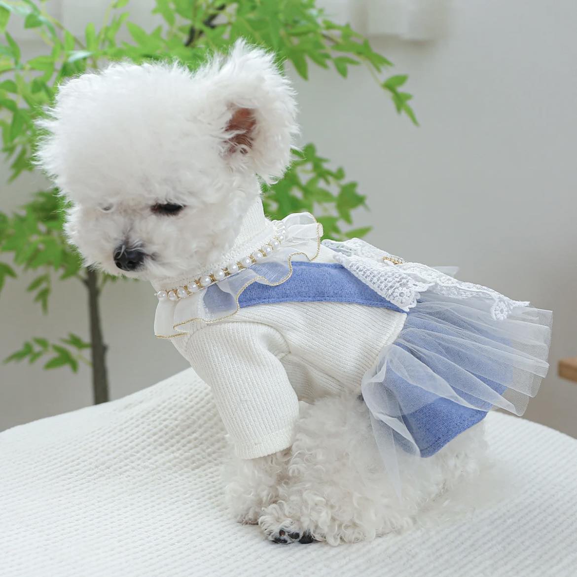 Рокля CINDERELLA