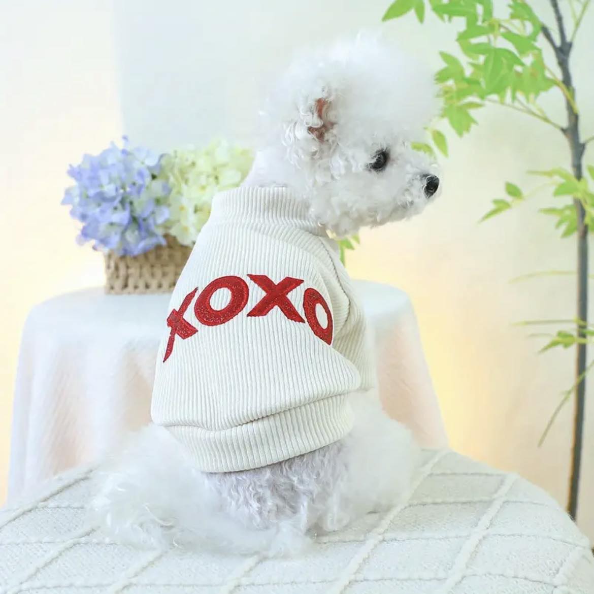 Блуза XOXO