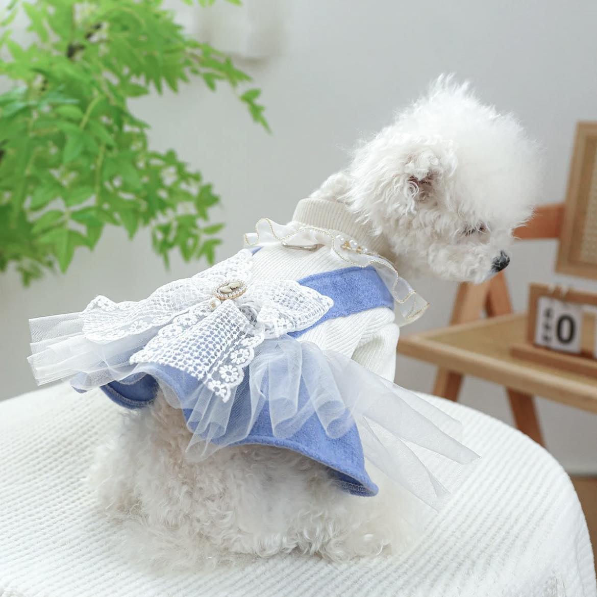 Рокля CINDERELLA