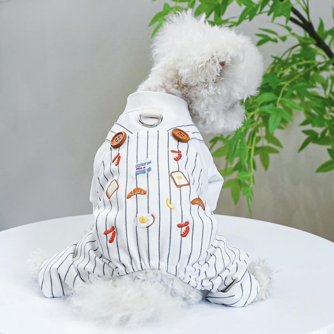 Гащеризон WHITE