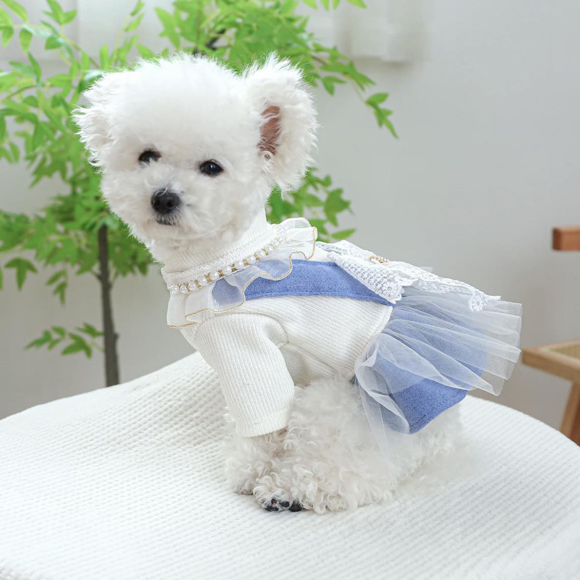 Рокля CINDERELLA