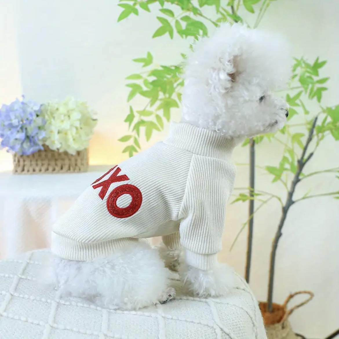 Блуза XOXO