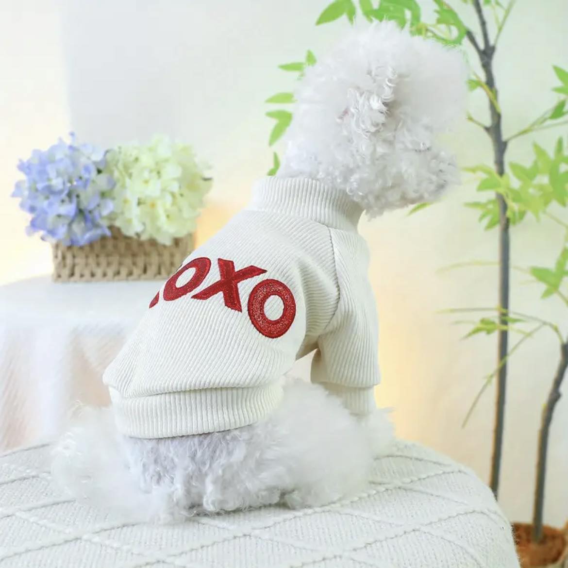 Блуза XOXO