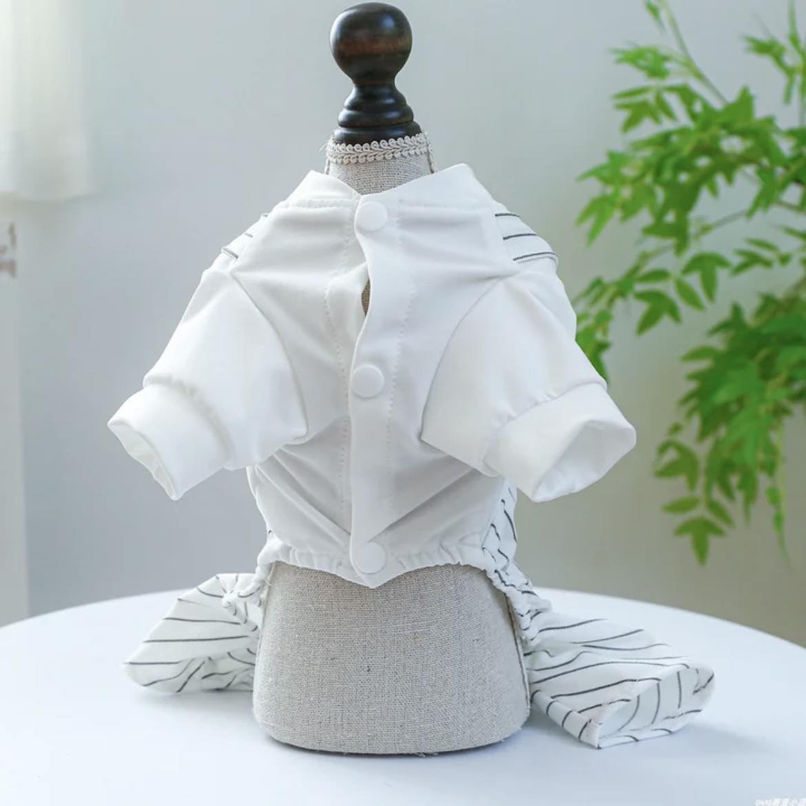 Гащеризон WHITE