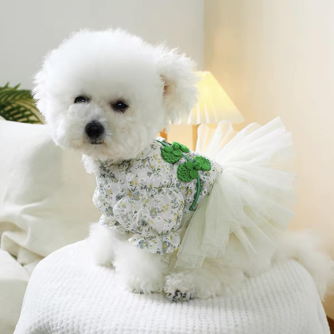 Рокля CHINESE GREEN