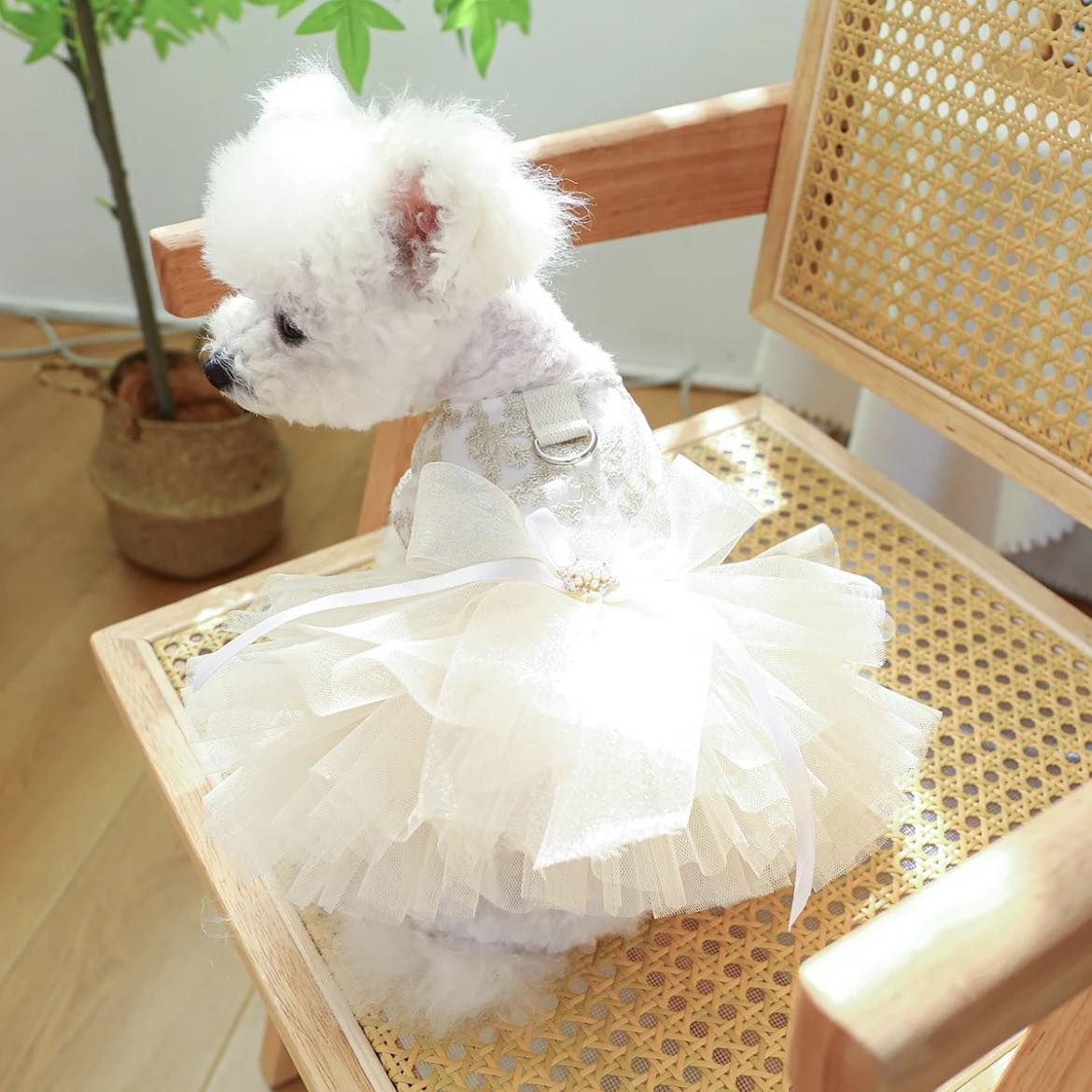 Рокля BALLERINA