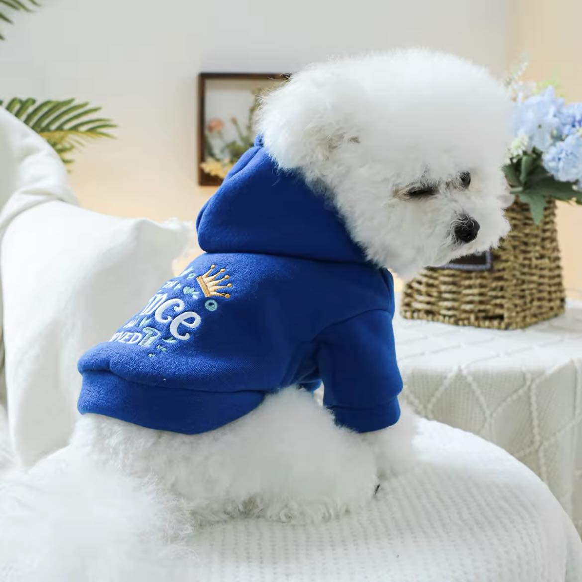 Суичър с качулка PRINCE