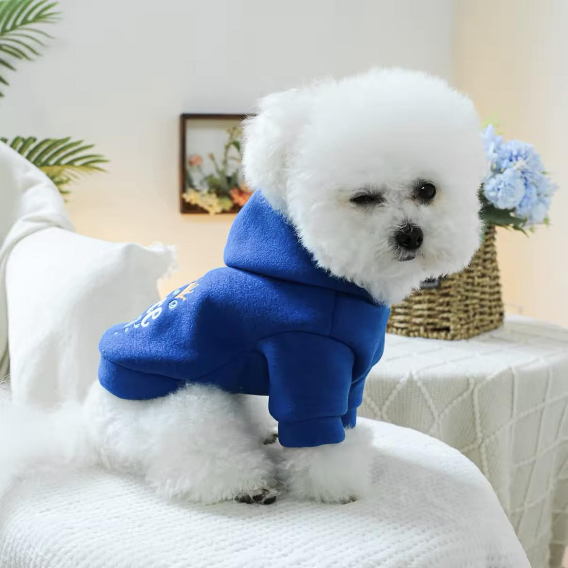 Суичър с качулка PRINCE