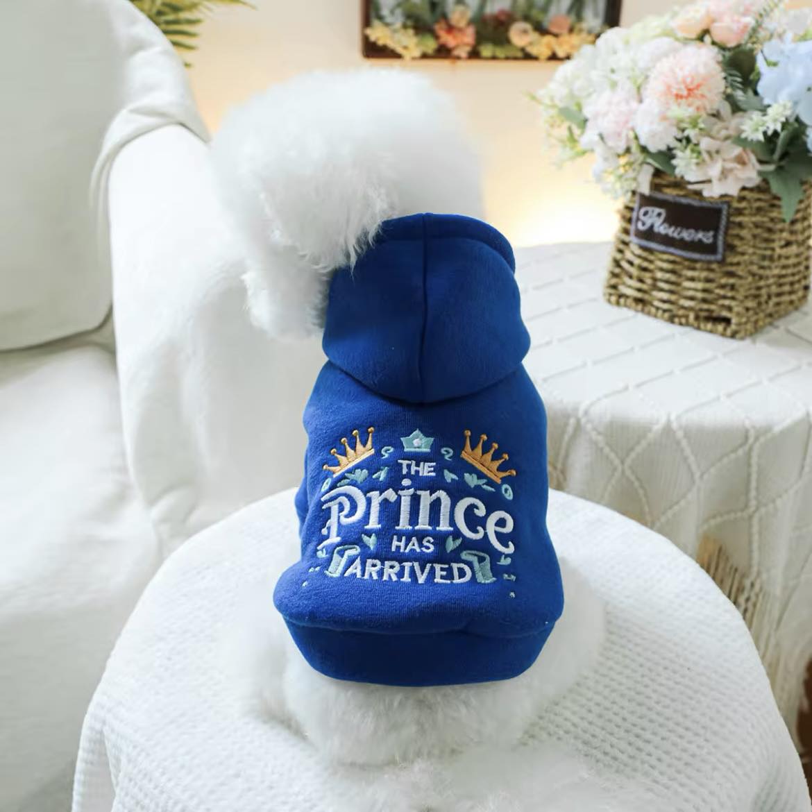 Суичър с качулка PRINCE