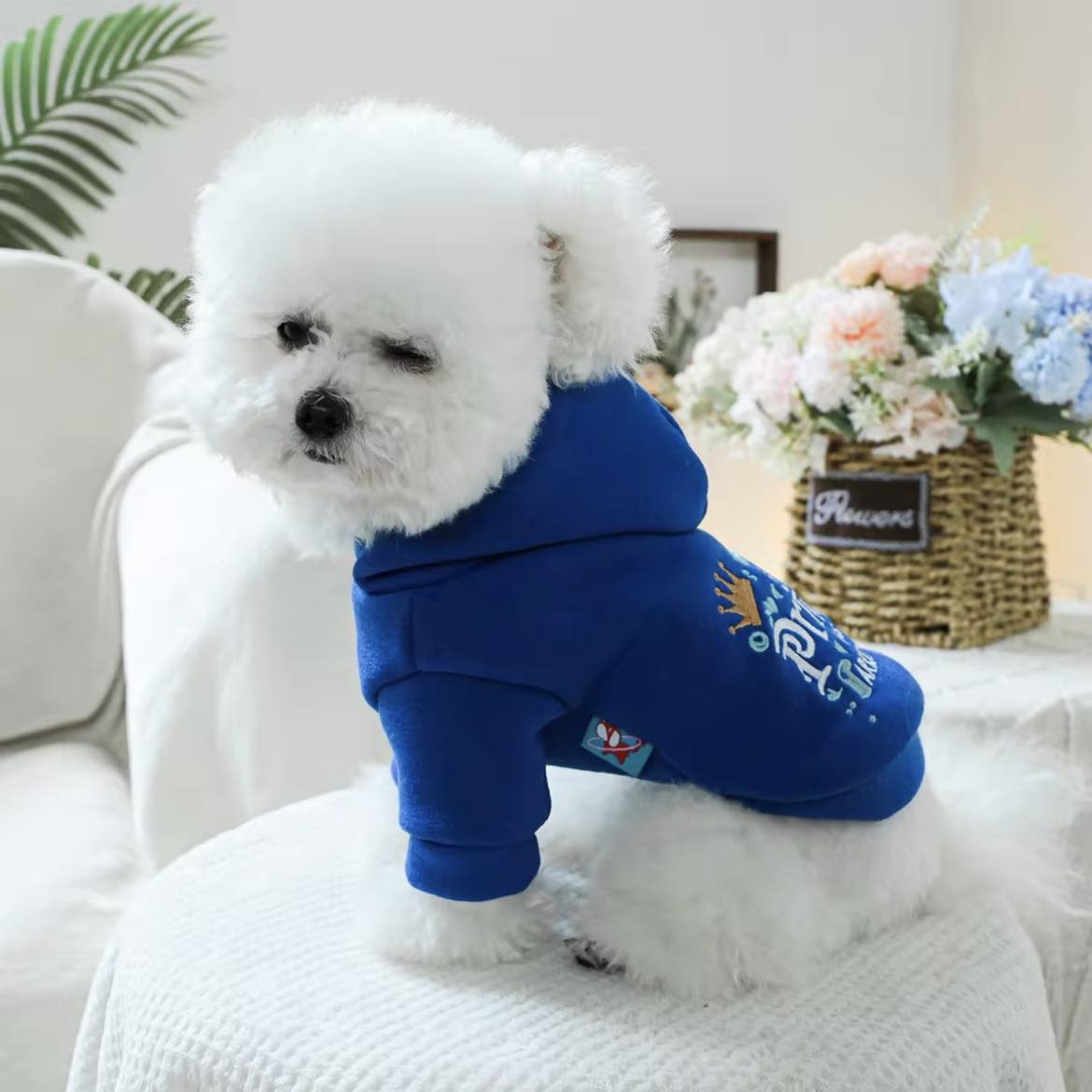Суичър с качулка PRINCE