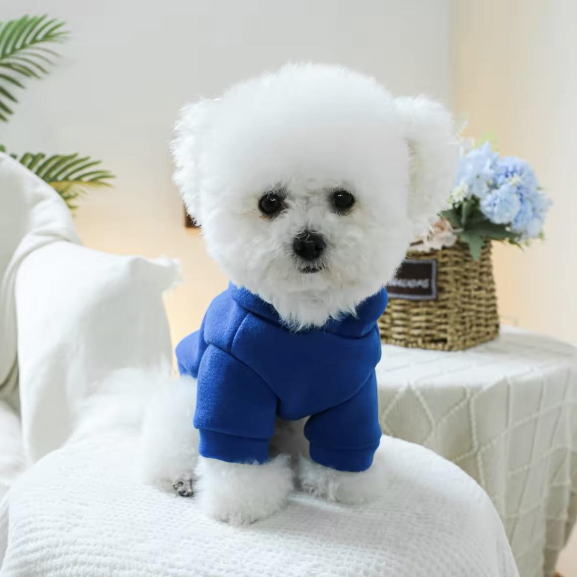 Суичър с качулка PRINCE