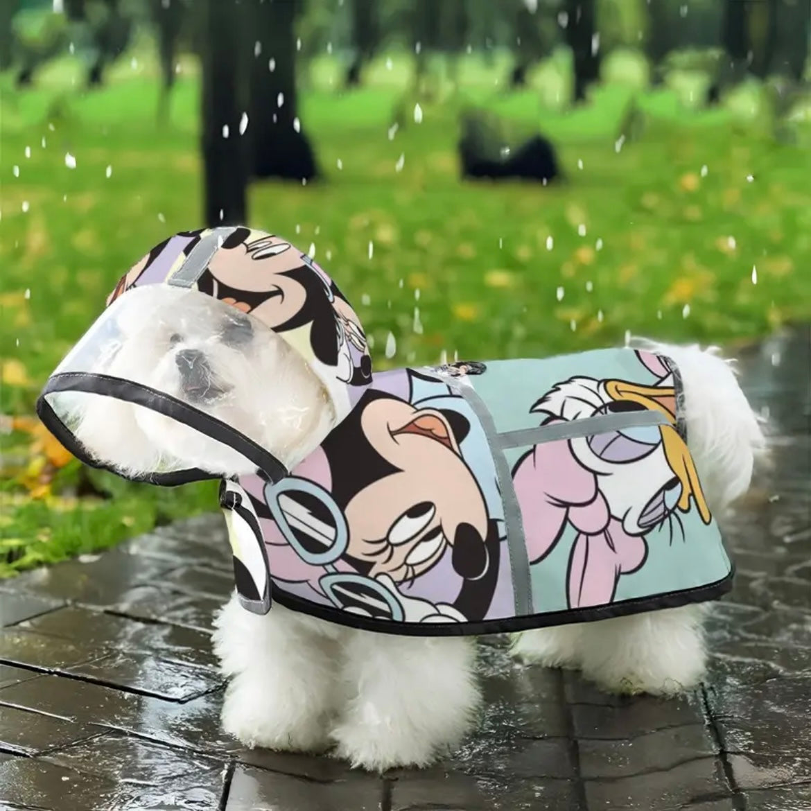 Дъждобран DISNEY 02