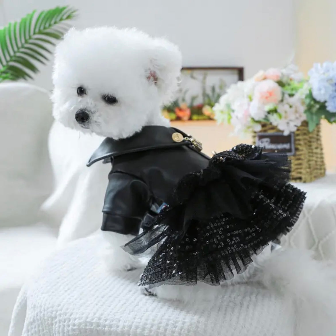 Екстравагандно палто - рокля THE PRINCESS IN BLACK