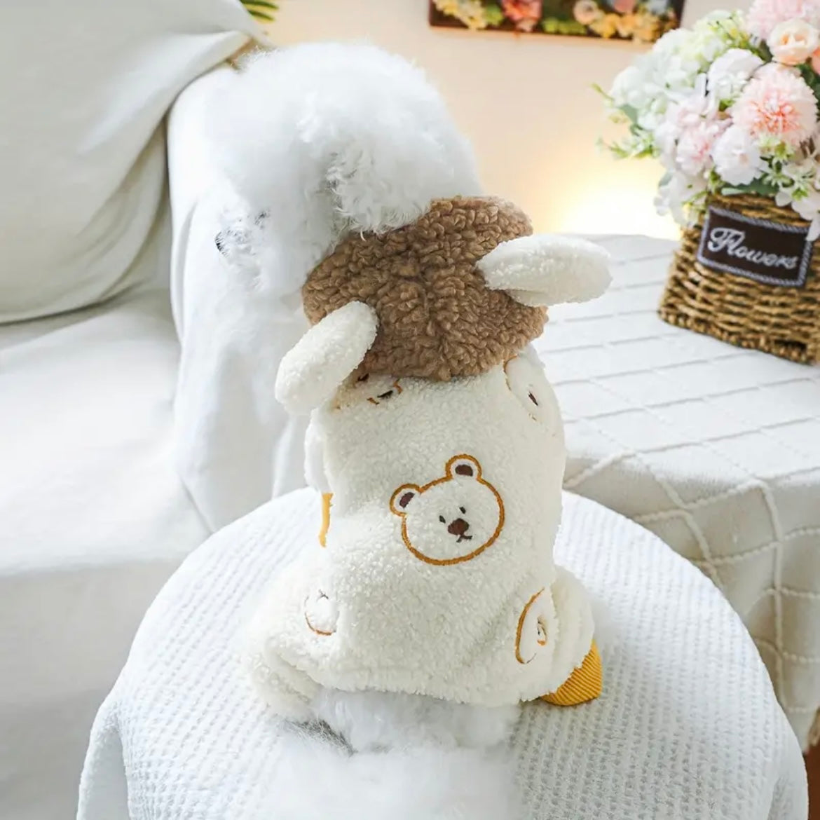 Зимен гащеризон за домашни любимци BEAR - LIMITED EDITION