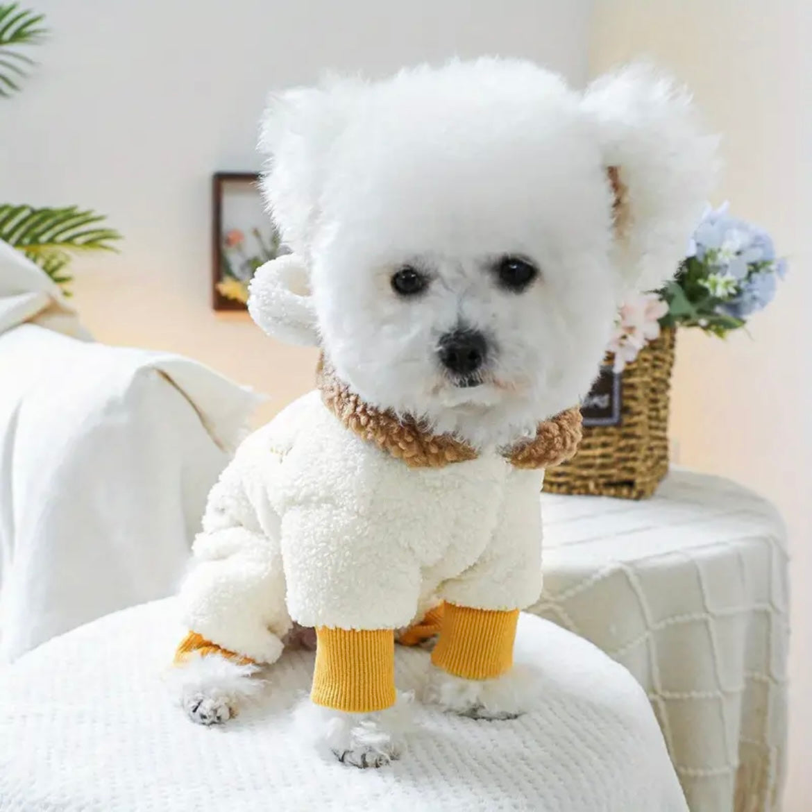 Зимен гащеризон за домашни любимци BEAR - LIMITED EDITION