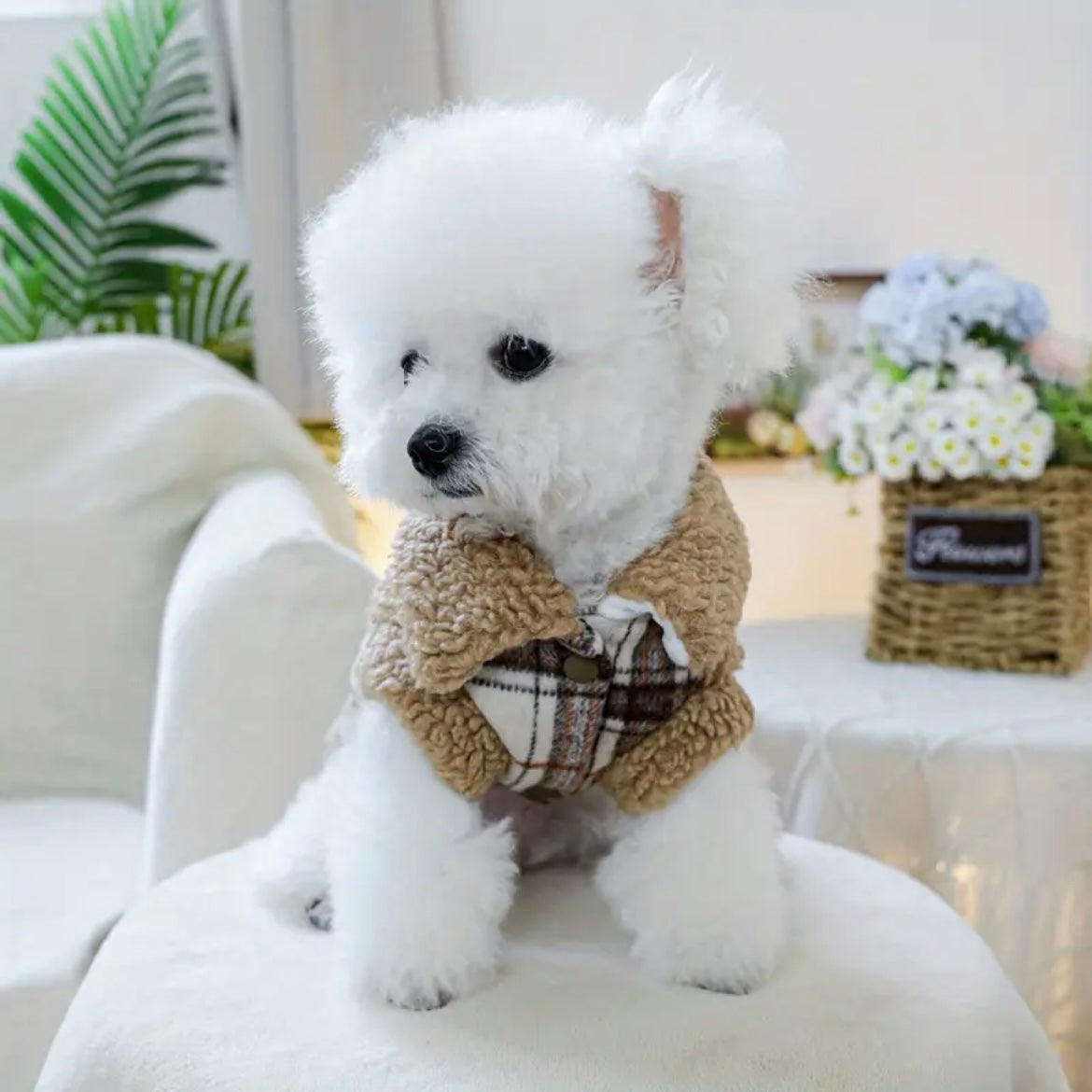 Елече тип вълна BROWNIE