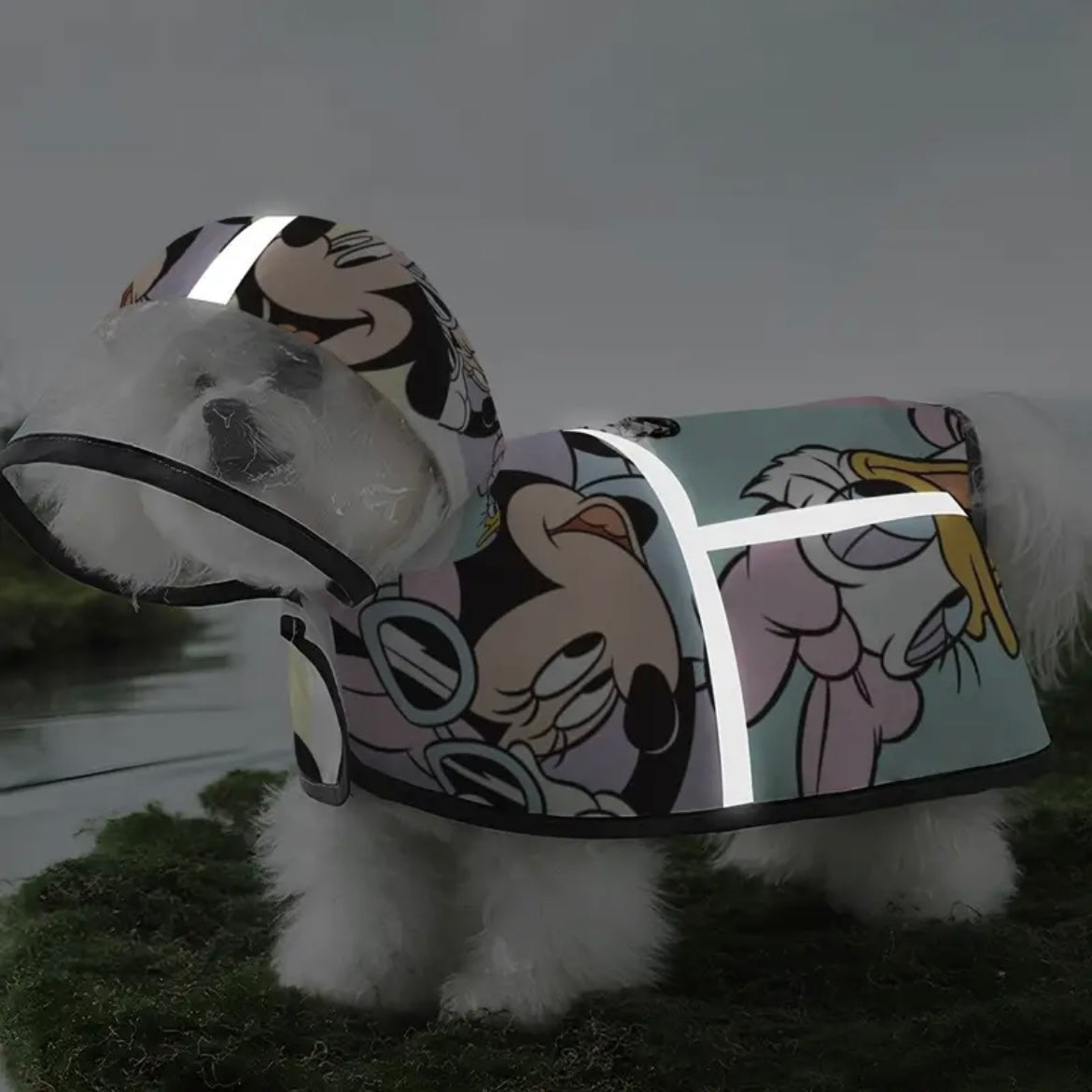 Дъждобран DISNEY 02