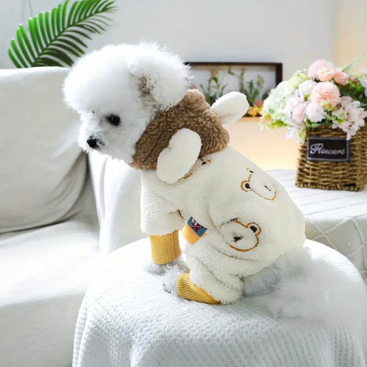 Зимен гащеризон за домашни любимци BEAR - LIMITED EDITION