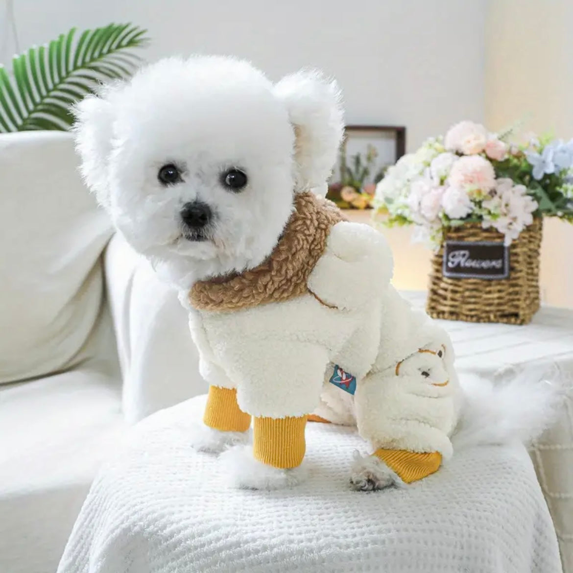 Зимен гащеризон за домашни любимци BEAR - LIMITED EDITION