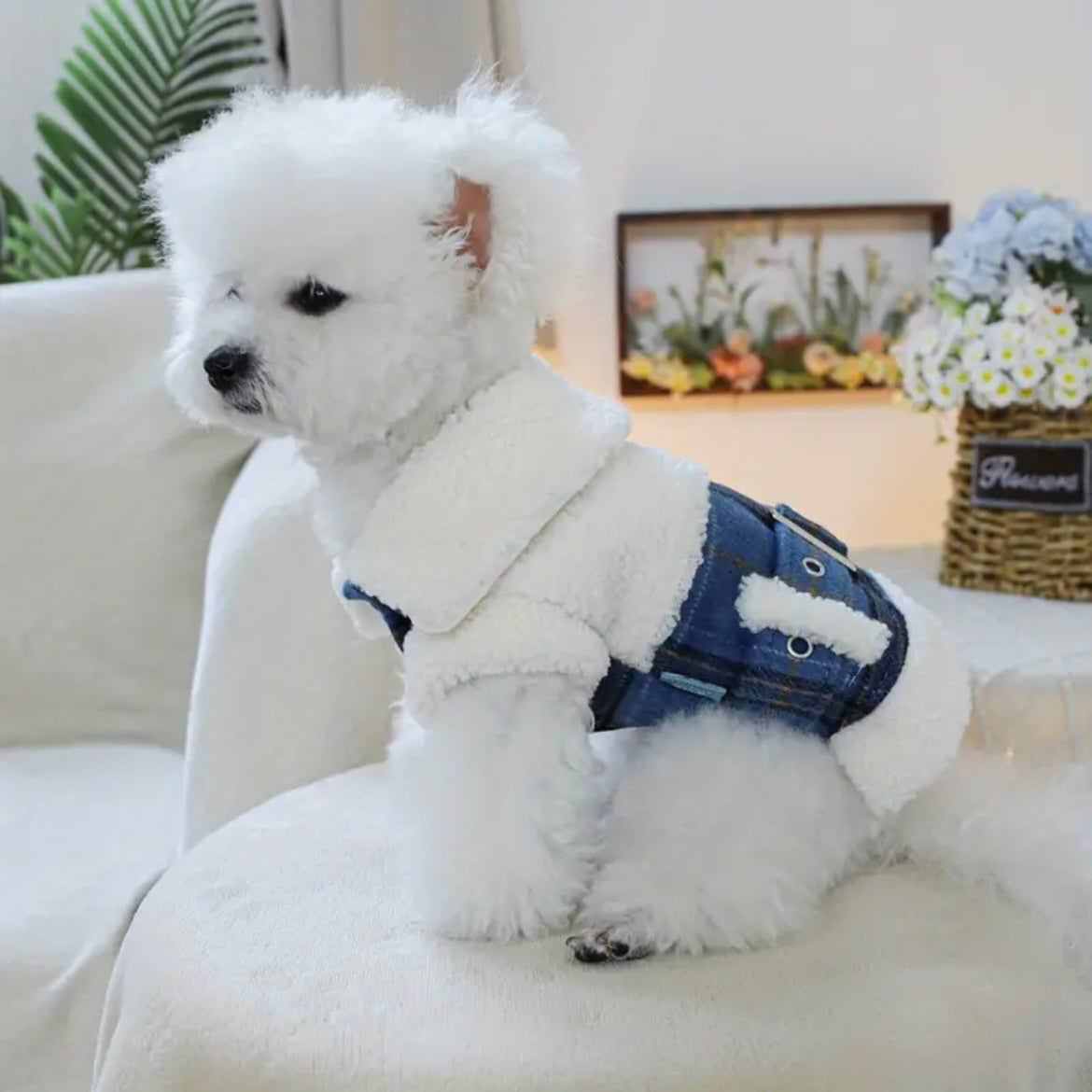Елече тип вълна JEANS
