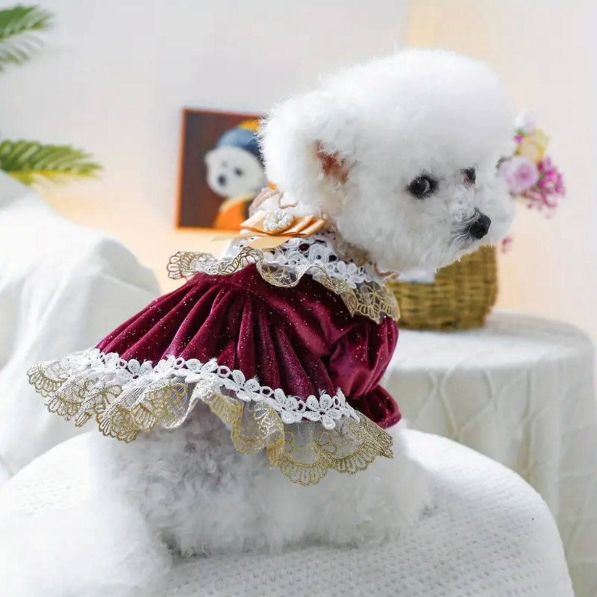 Рокля ARISTOCRACY