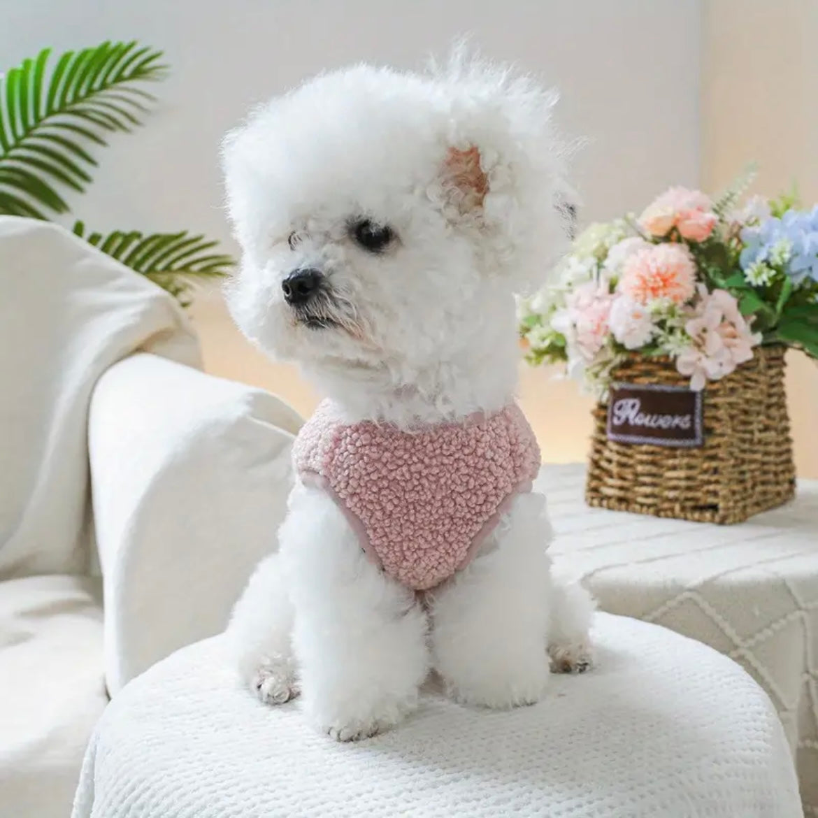 Елече тип вълна PINK