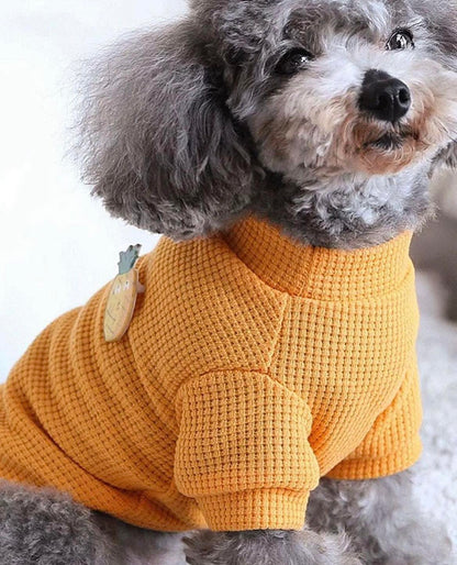 Блуза CARROT
