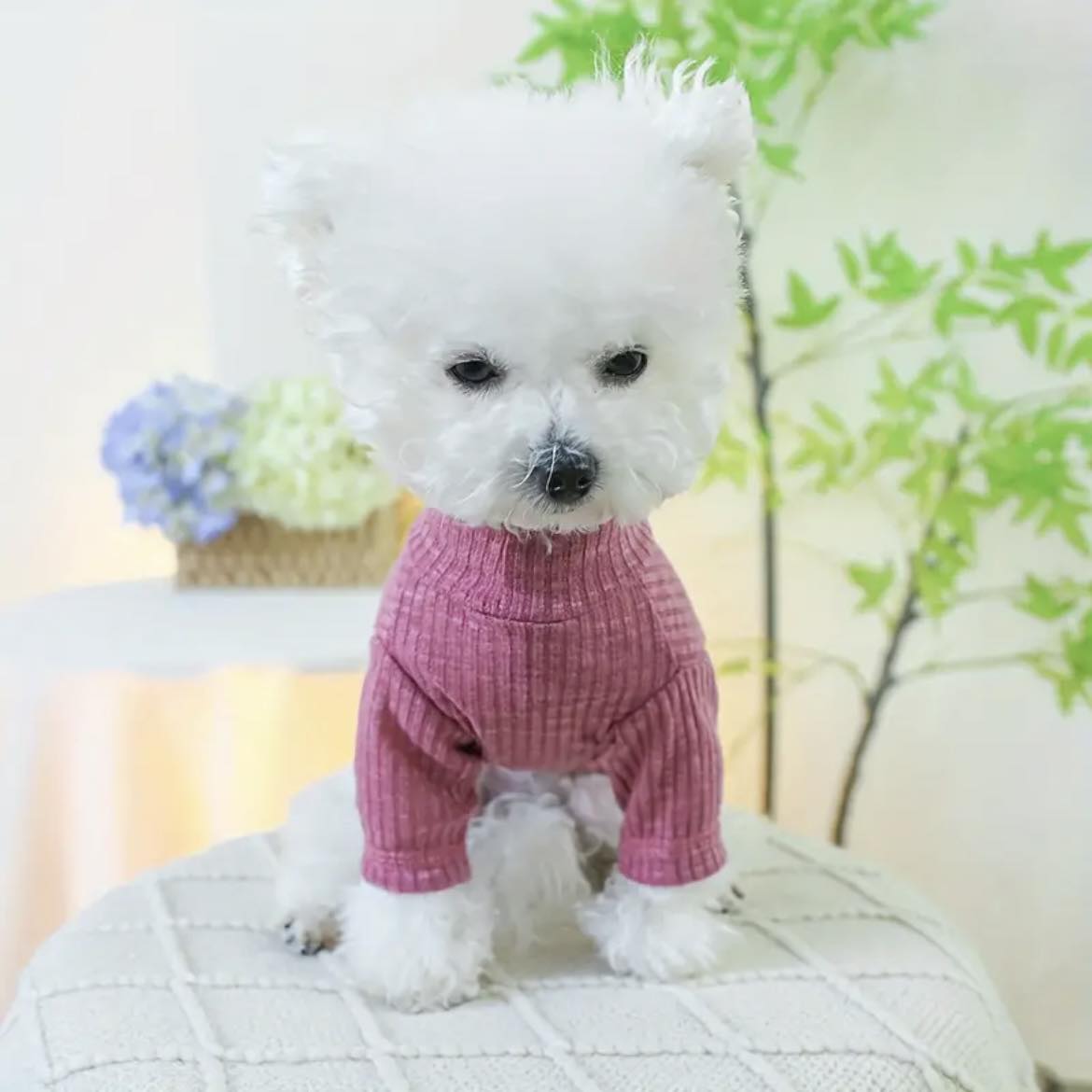 Блуза BEAR PINK