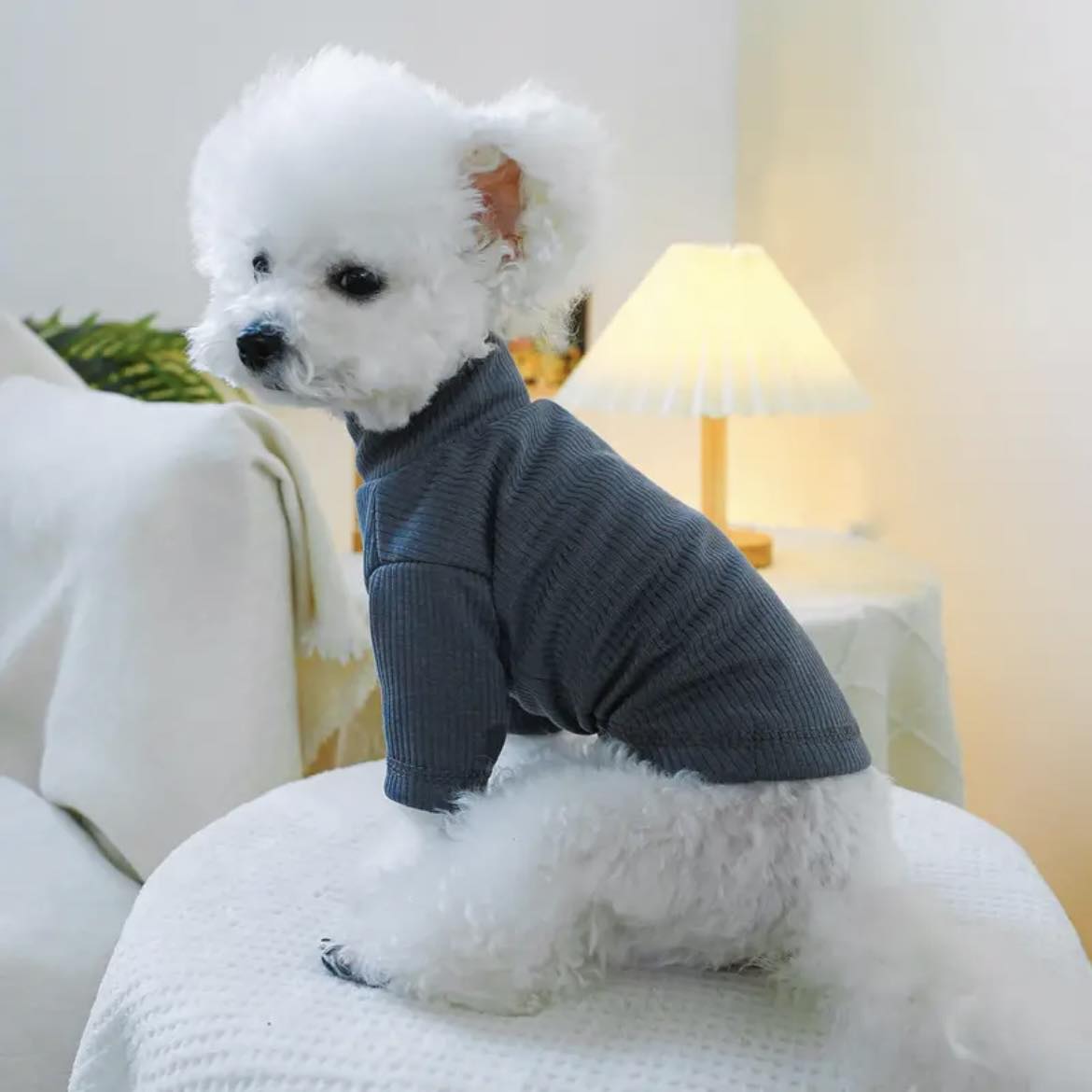 Блуза BABY