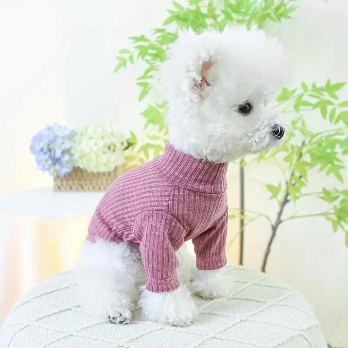 Блуза BEAR PINK