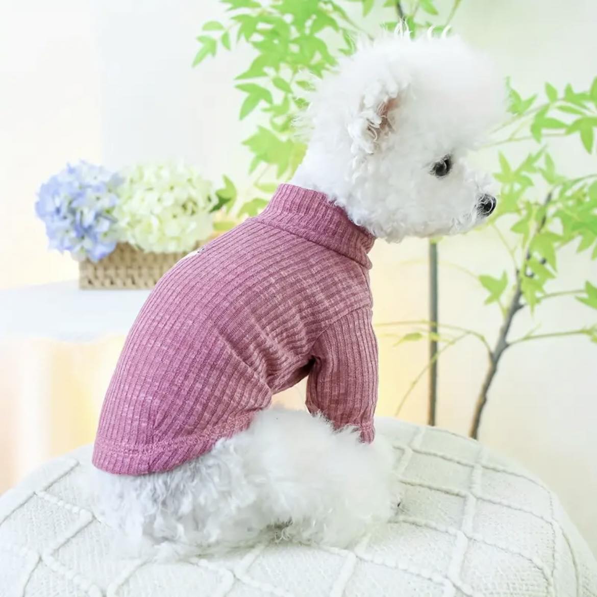 Блуза BEAR PINK