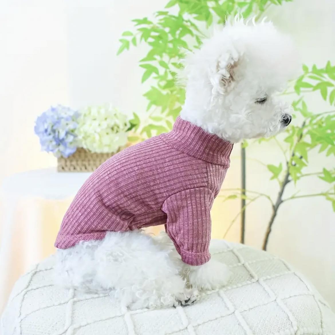 Блуза BEAR PINK