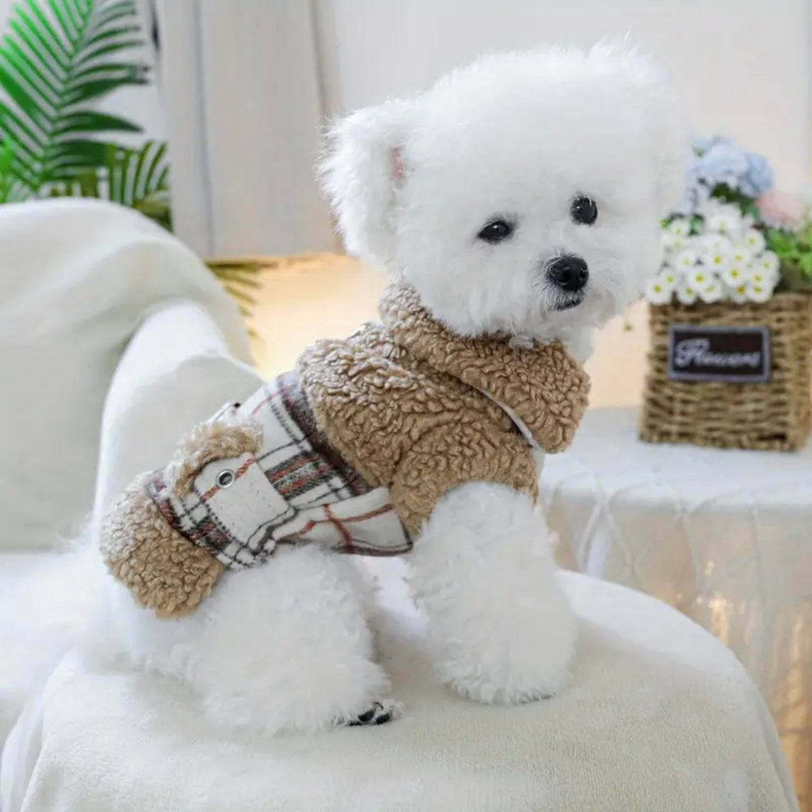 Елече тип вълна BROWNIE